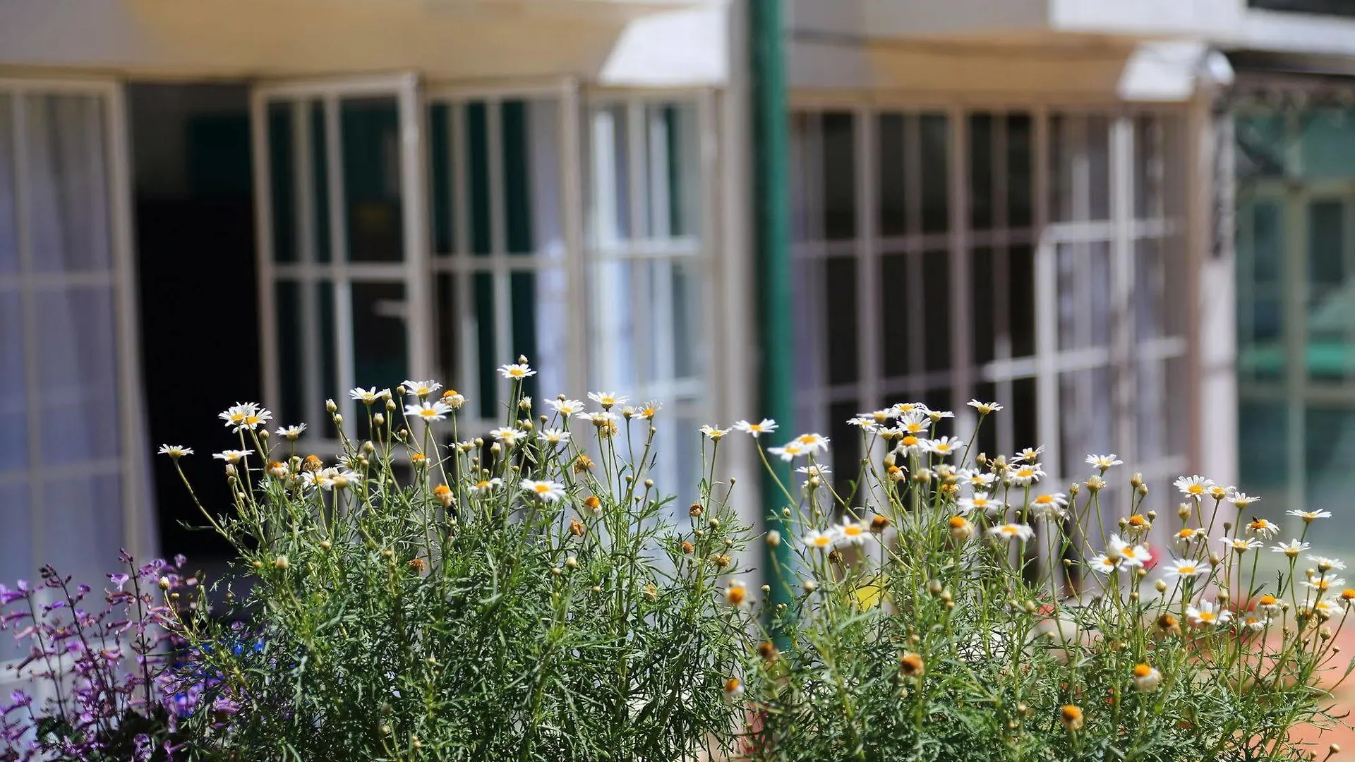 Lemas Holiday Bungalow Νουβάρα Ελίγια
