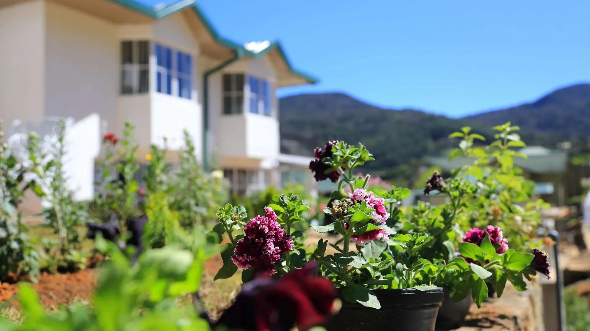 Lemas Holiday Bungalow Nuwara Eliya Villa